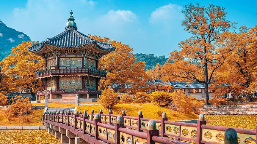 Phải lưu ý điều gì về văn hóa Hàn Quốc khi đi du lịch? - Du Lich